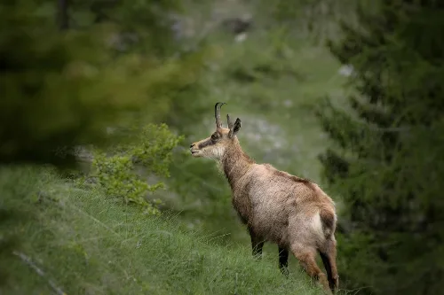 10 Yılında Cloudflare ile görseli