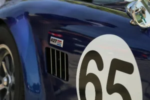 Reseller Hosting ile 65 Adet Alan görseli