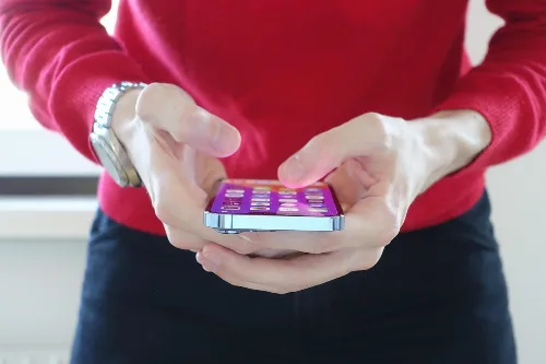 13 Yıldır Directadmin Hosting görseli