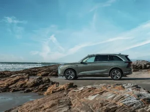 4 Adımda Directadmin Hostingde görseli