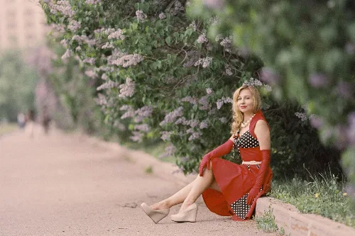 Directadmin Hosting ile 50 Adet görseli