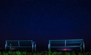 18-35 Yaş Arası 20 Logonun Analizi görseli